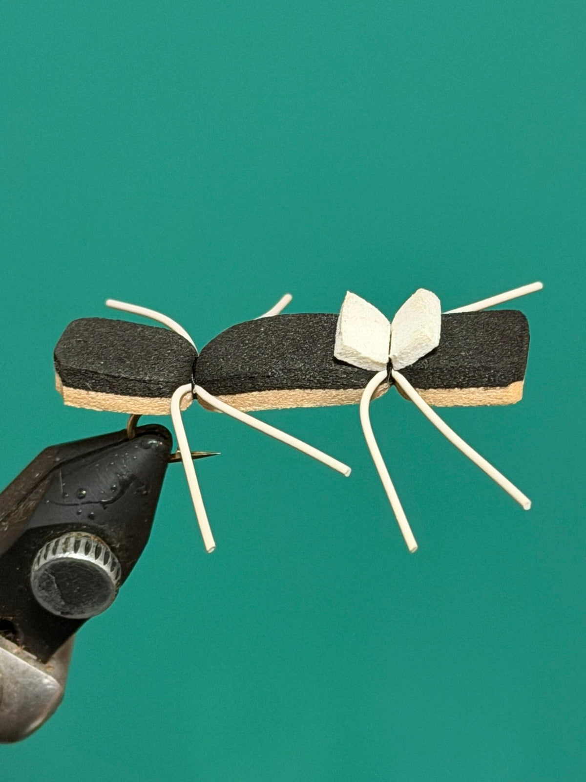 Chernobyl Ant