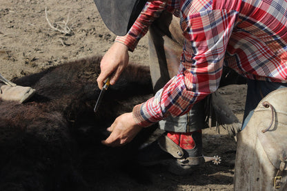 Premium Damascus Bull Cutter Knife - 7" Hand Forged Steel with Exotic Blue Wood Handle