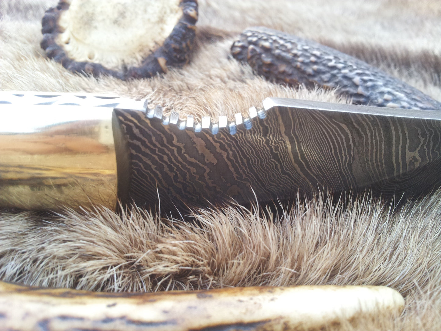 Custom Damascus Steel Field Dressing Deer Skinny Knife – 7.25 Inch Drop Point Blade with Antler Horn Handle and Brass Bolster