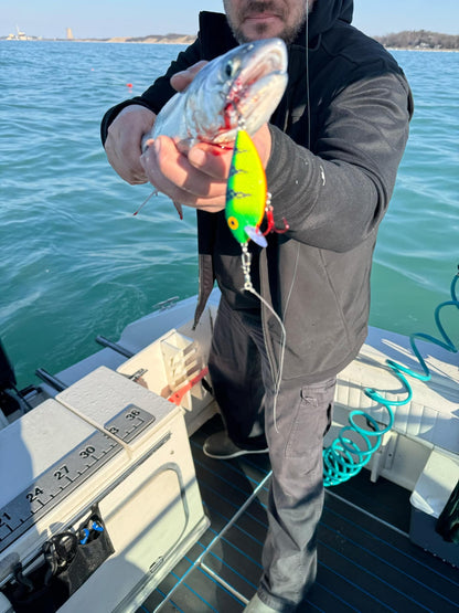 Killer Fish - Rattling Shallow Diver UV