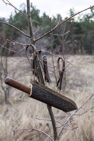 Custom Handmade Viking Seax Knife with Leather Sheath