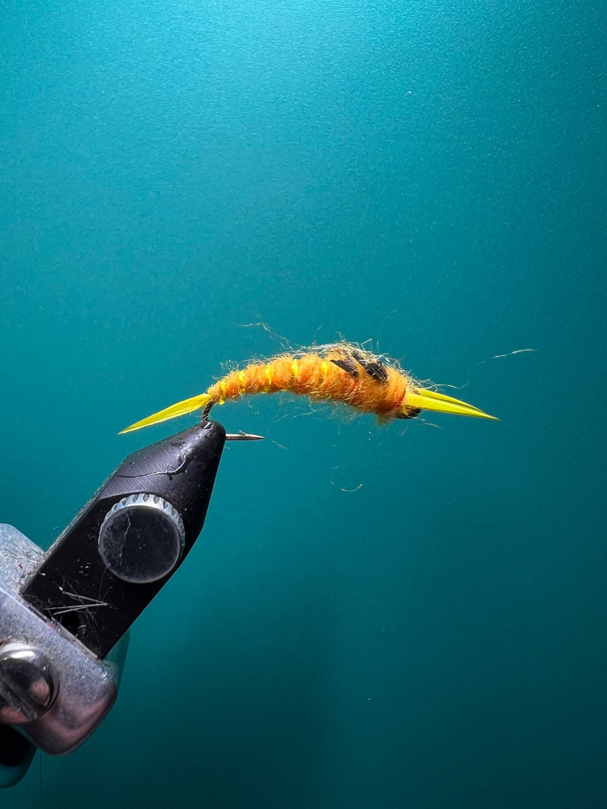 Golden Stone Nymph