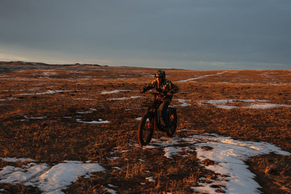 Grizzly Electric Scooter