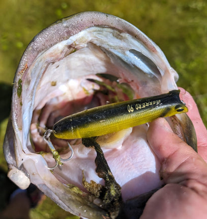 Guerrero 115 Topwater Fishing Lure