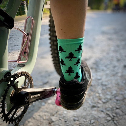 HLT Whitaker 6" Race Sock - RHR Colors