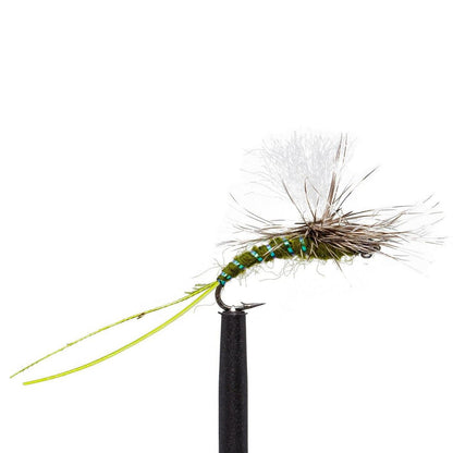 JHFLYCO Loaded Foam Fly Box - Standard Dry Fly Assortment