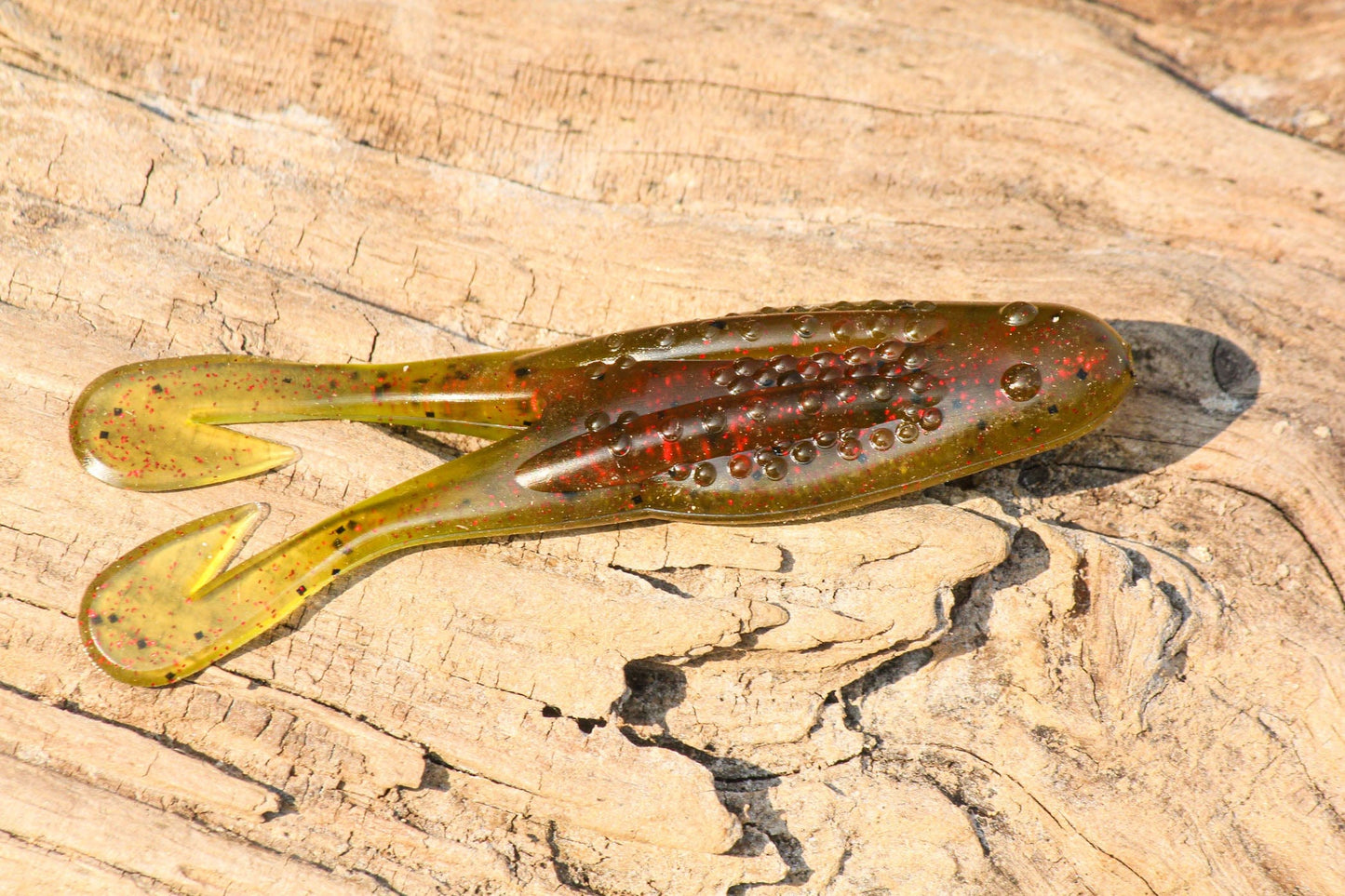 The Ultimate Frog & Toad Box – Handpicked by Shaye Baker! 🐸