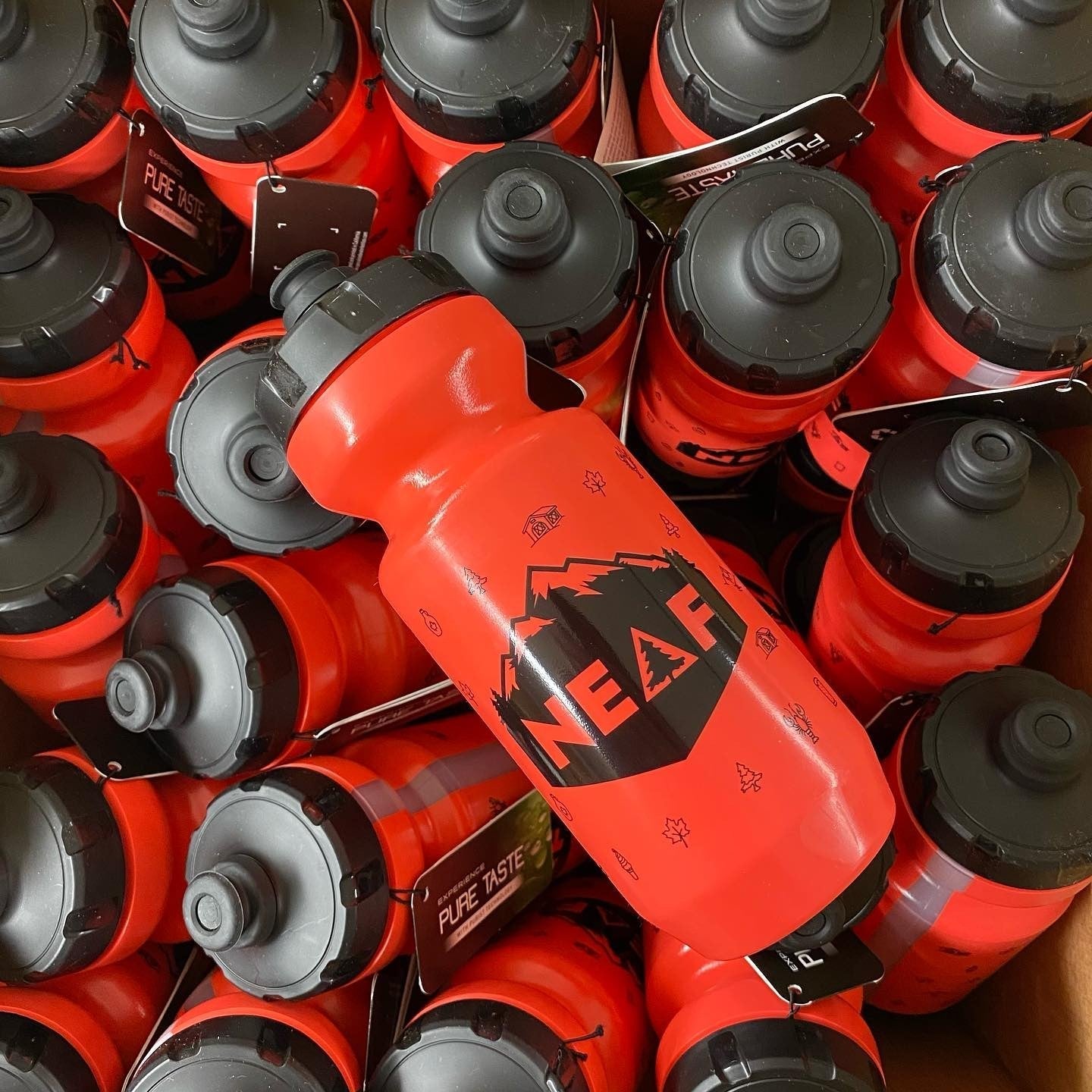 NEAF 22oz Purist Water Bottle Black Caps