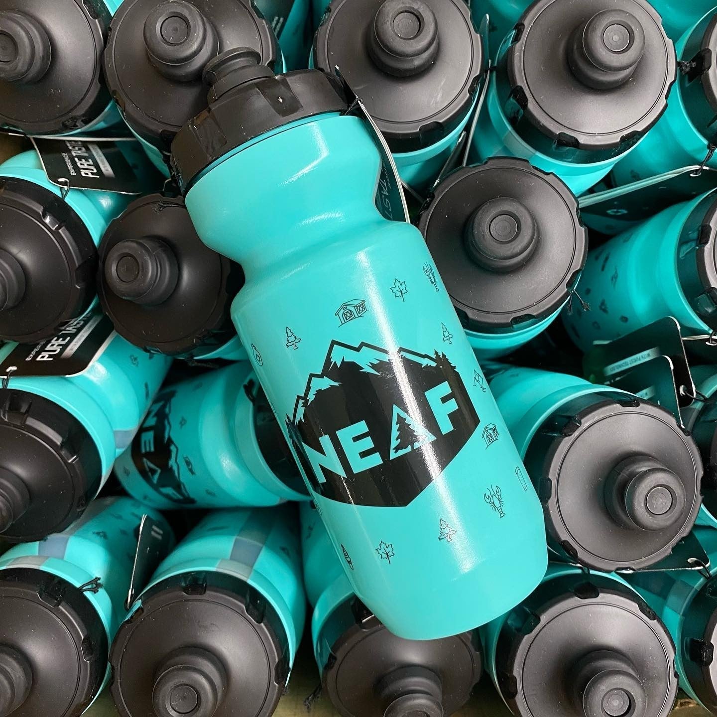 NEAF 22oz Purist Water Bottle Black Caps
