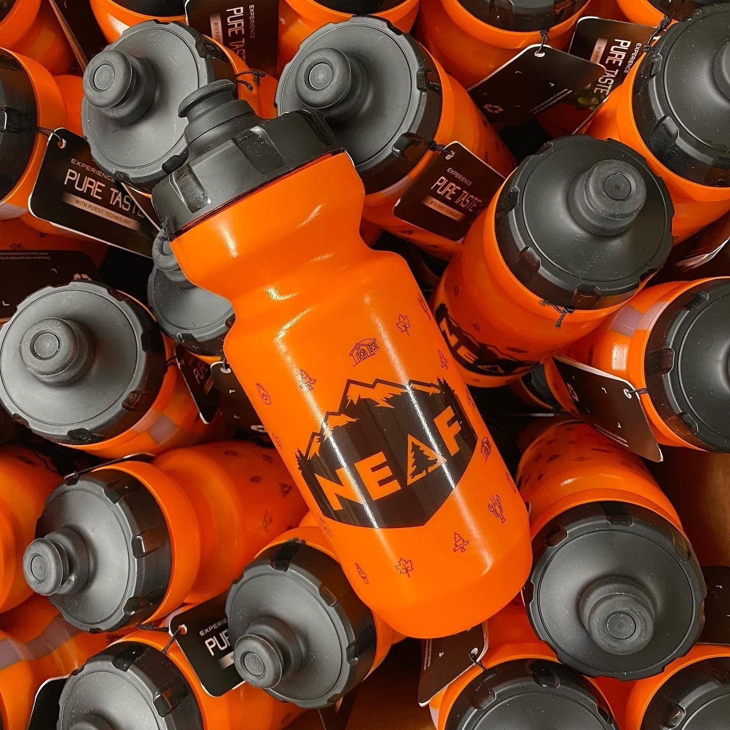 NEAF 22oz Purist Water Bottle Black Caps