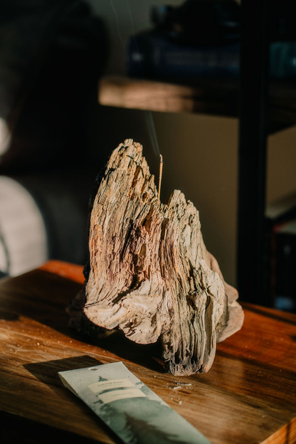 Christmas Fir Campfire Incense