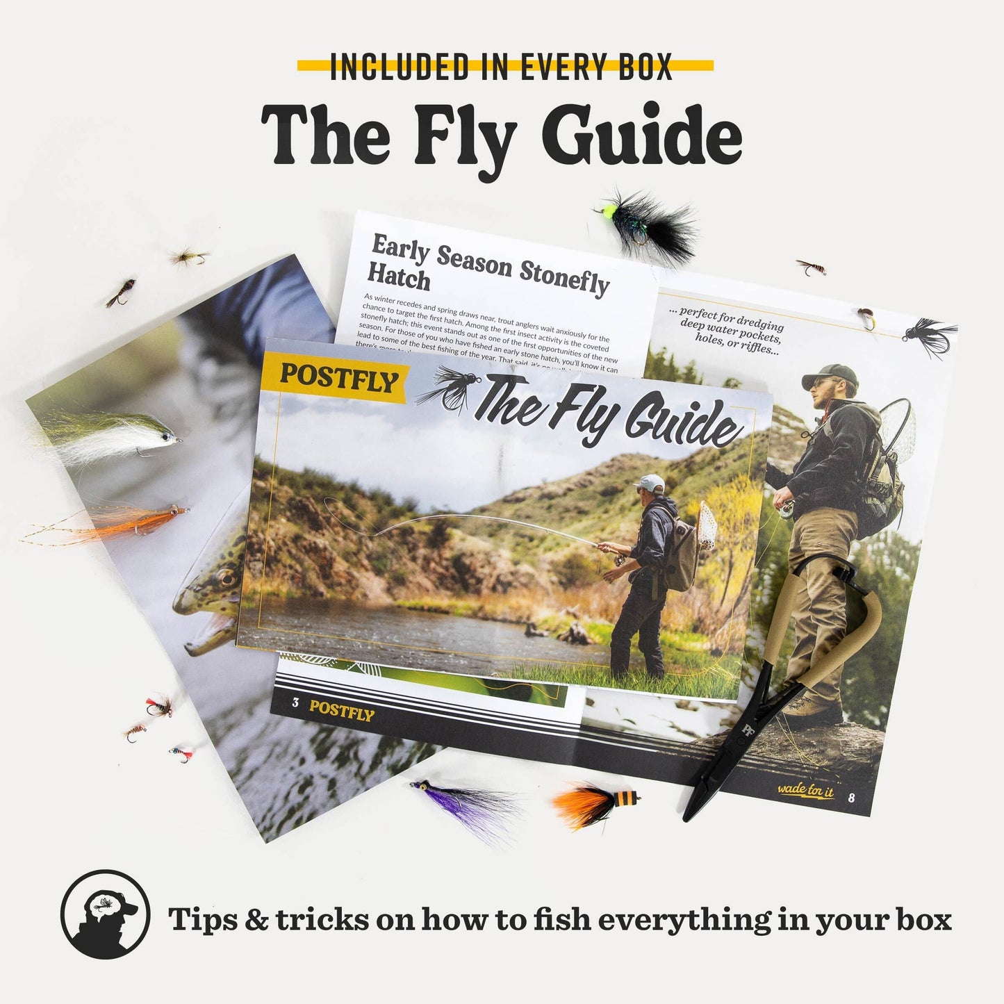 Trout Fly Assortment Box