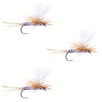 3 Pack Parachute Super Flash Purple Haze Dry Fly - Size 16