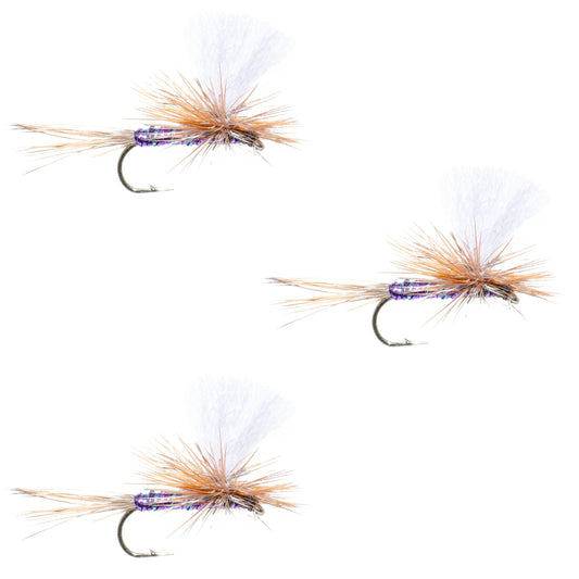 3 Pack Parachute Super Flash Purple Haze Dry Fly - Size 14