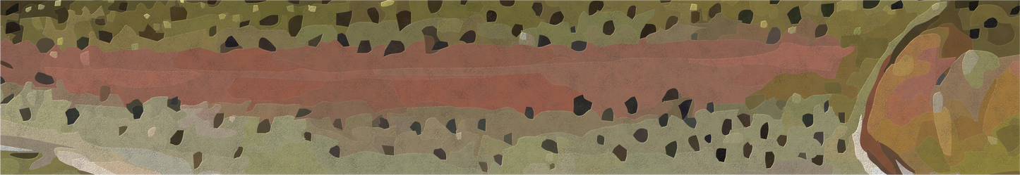 2024 Catch Cam Net Handles