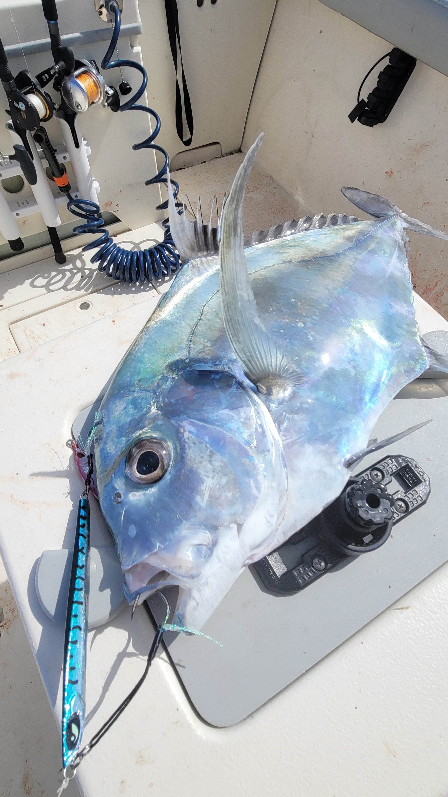 Submission Jigs - Ogre - Middleweight Slow Pitch Jigs