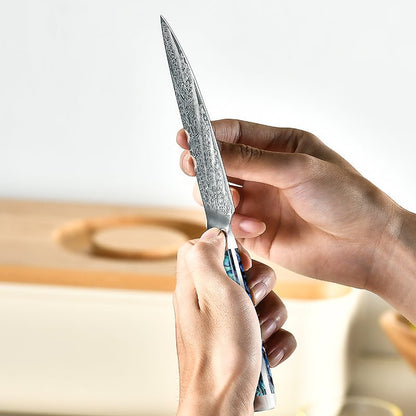 Ronin Chef Knife VG10 Damascus Petty Knife with Abalone Shell Handle