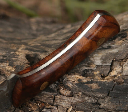 Virtue Damascus Hunting Knife Fixed Blade with Exotic Rose Wood Handle