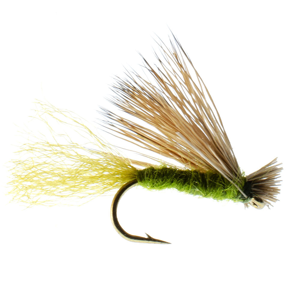 Barbless Olive X Caddis Emerging Caddis Adult Fly - 12 Flies Size 16