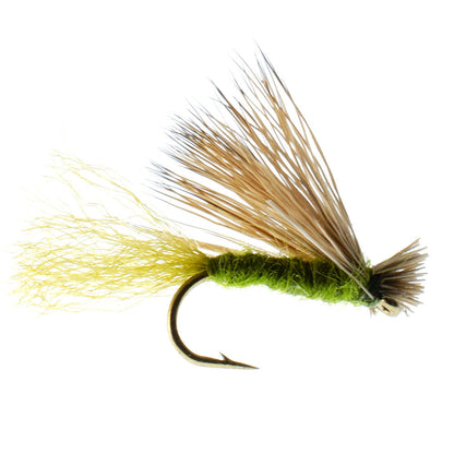 Barbless Olive X Caddis Emerging Caddis Adult Fly - 12 Flies Size 14